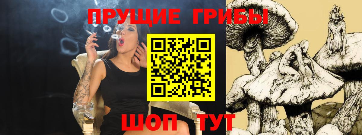 Нижний Тагил  Галлюциногенные грибы Magic Shrooms  Вход с VPN 